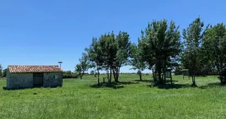 Site découverte nature - La Grande des Marais