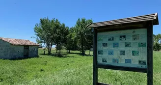 Site découverte nature - La Grande des Marais