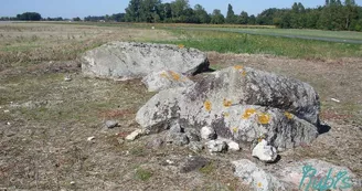 Dolmen pierre à Cerclet