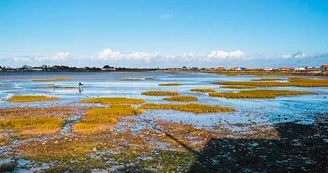 La Baie du Chapus