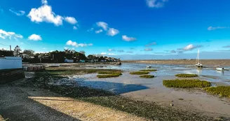 La Baie du Chapus