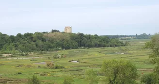 Marais de Brouage