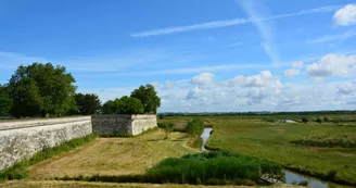 Marais de Brouage