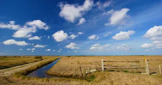 Marais de la Seudre