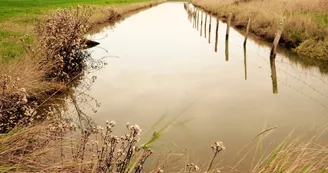 Marais de l'éguille