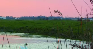 Marais de l'éguille