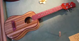 La case à Ukes - luthier et fabrication de ukulélés