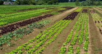 La Vallée de l'Arnoult