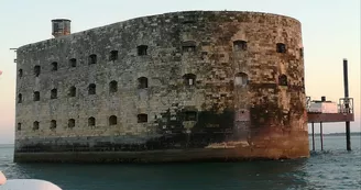 Croisières en mer Picot des îles - Saint-Denis croisières