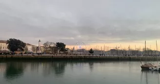 Croisières en mer Picot des îles - Saint-Denis croisières