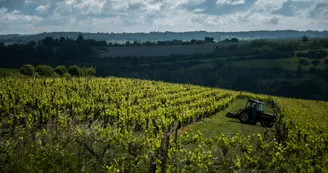 Cognac André Petit