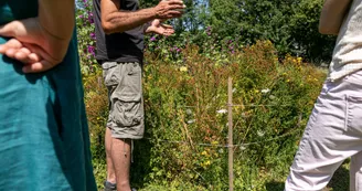 Jardin ma nouvelle vie - tisanes, baumes, sylvothérapie