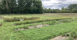 Jardin ma nouvelle vie - tisanes, baumes, sylvothérapie