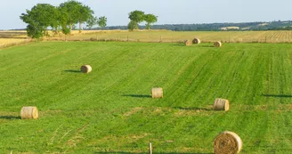 Ferme de Dallignac