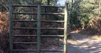 Parcours sportif Vertbois - l'Ecuissière