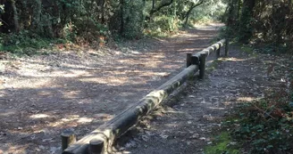 Parcours sportif Vertbois - l'Ecuissière