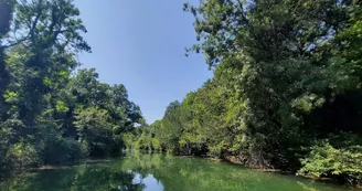 Canal Canoë