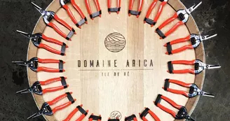 Domaine Arica