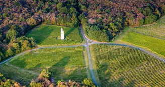 Domaine et Distillerie Brillouet