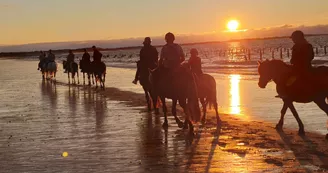 Les Cavaliers du Fort Boyard - Balades à cheval