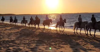 Les Cavaliers du Fort Boyard - Balades à cheval