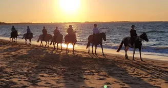 Les Cavaliers du Fort Boyard - Balades à cheval