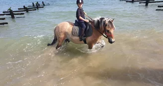 Les Cavaliers du Fort Boyard - Balades à cheval