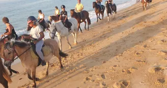 Les Cavaliers du Fort Boyard - Balades à cheval