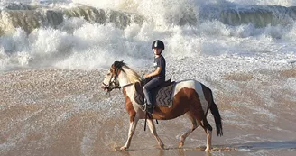 Les Cavaliers du Fort Boyard - Balades à cheval