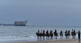 Les Cavaliers du Fort Boyard - Balades à cheval