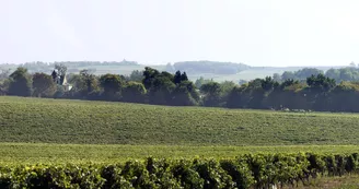 Château de Beaulon