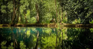 Les Fontaines Bleues - Parc et Jardin du Château de Beaulon