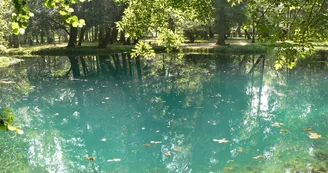 Les Fontaines Bleues - Parc et Jardin du Château de Beaulon