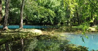 Les Fontaines Bleues - Parc et Jardin du Château de Beaulon