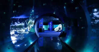 Aquarium La Rochelle