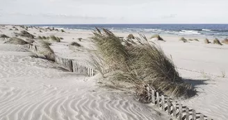 L'île aux Images