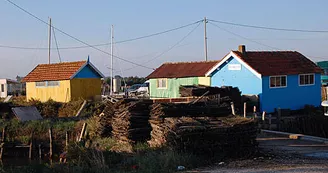 Site ostréicole et naturel de Daire