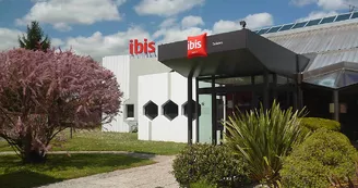 Ibis