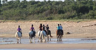 Camping les Embruns d'Oléron