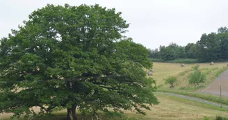 Camping de La Vélonde