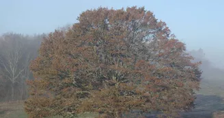 Camping de La Vélonde