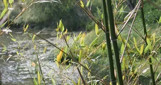 Camping de La Vélonde