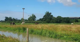 Camping Nature Le Grand Pré