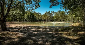 Camping Fleurs des Champs