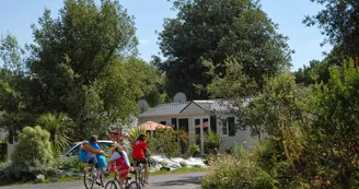 Camping L'Île Blanche