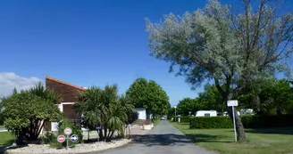 Camping Municipal La Giroflée