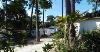 Camping Le Pin Franc