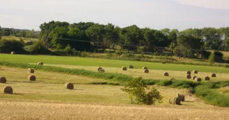 Camping Les Vignes