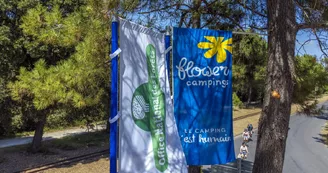 Flower Camping Monplaisir