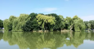 Camping L'Île Verte